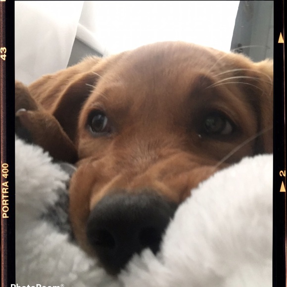 Meet your Posher, Shannon - Picture 6 of 6